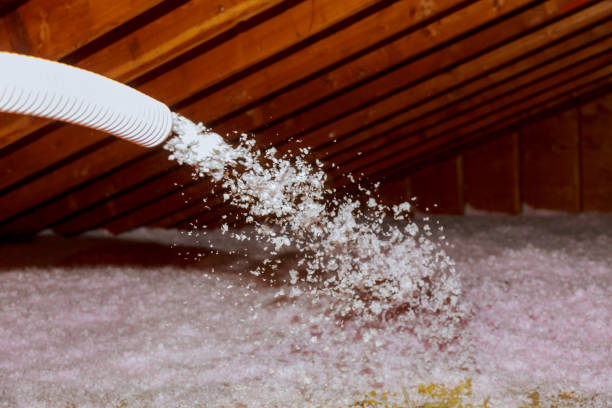 Best Insulation Maintenance and Repair in Henry, IL