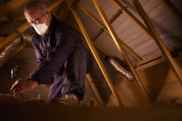 Best Insulation Maintenance and Repair in Henry, IL